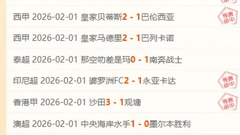 意大利前锋俱乐部归属